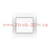 Выключатель 1-кл. Glossa (сх. 1) 10AX быстрозажим. клем. в сборе бел. SE GSL000112S