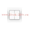 Выключатель 2-кл. Glossa (сх. 5) 10AX быстрозажим. клем. в сборе бел. SE GSL000152S