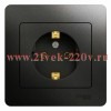 Розетка с заземлением 16А в сборе SE Glossa, антрацит