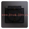 Розетка с зазем со шторками с крышкой IP44 16А 250В в сборе SE Glossa, графит