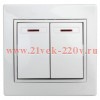 Выключатель Intro Plano 1-105-01 двухклавишный с подсветкой, 10А-250В, IP20, СУ, Plano, белый