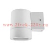 Светильник светодиодный GX53S-1W-ЦИЛИНДР GX53 IP65 230В уличный односторон. подсветка бел. IN HOME 4