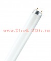 Лампа люминесцентная TL-D 18W/ 765 G13 d26x590mm 1025lm 6500K PHILIPS