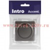 Светорегулятор Intro Accent 6-401-07 поворотный, 600Вт 230В, IP20, СУ, графит