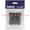 Розетка Intro Accent 6-202-07 2P+E Schuko 16А-250В IP20 СУ AL/CU графит