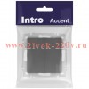 Выключатель Intro Accent 6-104-07 двойной, 10А-250В, IP20, СУ, AL/CU, графит