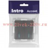 Выключатель Intro Accent 6-105-07 двойной с подсветкой, 10А-250В, IP20, СУ, AL/CU, графит
