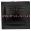 Выключатель Intro Plano 1-105-05 двухклавишный с подсветкой, 10А-250В, IP20, СУ, антрацит
