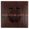 Розетка Intro Plano 1-410-10 с заземлением 2P+E Schuko со шторками, 16А-250В + 2хUSB 5В-2,1А, IP20,