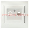 Розетка Intro Plano 1-303-06 информационная RJ45, IP20, СУ, перламутр