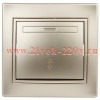 Переключатель Intro Plano 1-103-04 одноклавишный 10А-250В, IP20, СУ, шампань