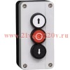 Пост кнопочный NP2-B339 1НО+1НО+1НЗ (R) CHINT 573944