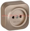 Розетка ОП GLORY РС20-2-ХШм 10А без заземл. без защ. шторок шампань матов. IEK ERH10-K37M-10