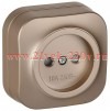 Розетка ОП GLORY РСш20-2-ХШм 10А без заземл. защ. шторки шампань матов. IEK ERH13-K37M-10