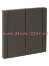 Выключатель двухклавишный с индикацией ИЭК FORTE&PIANO FP306 10А серый FP-V20-1-10-1-K03
