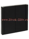 Переключатель двухклавишный ИЭК FORTE&PIANO FP107 10А черный FP-V22-0-10-1-K02