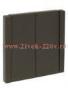 Переключатель двухклавишный с индикацией ИЭК FORTE&PIANO FP308 10А серый FP-V22-1-10-1-K03