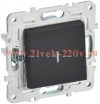 Выключатель одноклавишный с индикацией SKANDY SK-V07G 10А графит IEK
