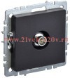 Розетка TV ИЭК BRITE оконечная черный (РТВ11-0-БрЧ) BR-A10-O-K02