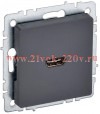 Розетка HDMI ИЭК BRITE графит (РHDMI ИЭК BRITE-0-БрГ) BR-H10-K53