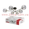 Люстра под лампу LOFT NET-CN-6E27-BLТ 6хE27 черн. латунь IN HOME 4690612068350