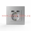 Розетка 1-м СП Pixel с заземл. с 2-мя заряд. устр. USB тип A+A механизм алюм. TOKOV ELECTRIC TKE-PX-
