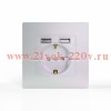 Розетка 1-м СП Pixel с заземл. с 2-мя заряд. устр. USB тип A+A IP20 механизм перламутр. TOKOV ELECTR