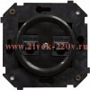 Розетка компьютерная 2-м СП Шедель RJ45 ретро кат.5E ABS-пластик черн. Bironi B3-302-23