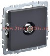Розетка TV ИЭК BRITE оконечная графит (РТВ11-0-БрГ) BR-A10-O-K53