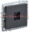 Розетка компьютерная ИЭК BRITE RJ45 кат.5E графит (РК10-БрГ) BR-K10-1-K53