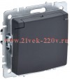 Розетка ИЭК BRITE 2P+E Schuko со шторками с крышкой 16А IP44 графит (РСбш10-3-44-БрГ) BR-R16-16-44-K53