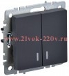 Выключатель 2-клавишный ИЭК BRITE с индикацией 10А графит (ВС10-2-1-БрГ) BR-V20-1-10-K53