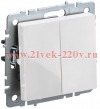 Переключатель 2-клавишный ИЭК BRITE 10А белый (ВС10-2-6-БрБ) BR-V22-0-10-K01