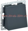 Вывод кабеля ИЭК BRITE графит (МВ10-БрГ) BR-VK10-0-K53
