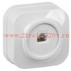 Розетка компьютерная открытой установки RJ45 5E РК10-ХБ GLORY IEK белый EKH10-K01
