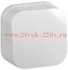 Выключатель 2-клавишный открытой установки 10А ВС20-2-0-ХБ GLORY IEK белый EVH20-K01-10