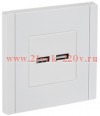 Розетка для зарядки ИЭК FORTE&PIANO FP249 USB A+A 3,1А белый FP-U21-D31-K01