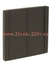 Выключатель двухклавишный ИЭК FORTE&PIANO FP305 10А серый FP-V20-0-10-1-K03