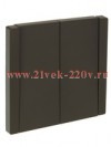 Переключатель двухклавишный ИЭК FORTE&PIANO FP307 10А серый FP-V22-0-10-1-K03