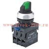 Переключатель с подсветкой NP8-20XD/214 2 полож. фикс. зел. AC/DC 24В(LED) 2НО IP65 (R) CHINT 667193