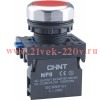 Кнопка управления NP8-02BND/4 подсветка самовозв. красн. AC/DC 24В(LED) 2НЗ IP65 (R) CHINT 667243