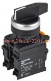 Переключатель 2 полож. 1НО+1НЗ возв. длин. ручка MASTER IEK MI-SW60-11XB22-3-25-2-K02