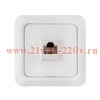Розетка компьютерная 1-м ОП Bolleto RJ45 бел. 7035 IN HOME 4690612018294
